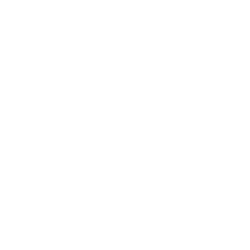 MHS logomark