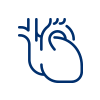 Heart and Vascular Services icon