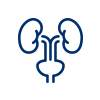 Urology icon