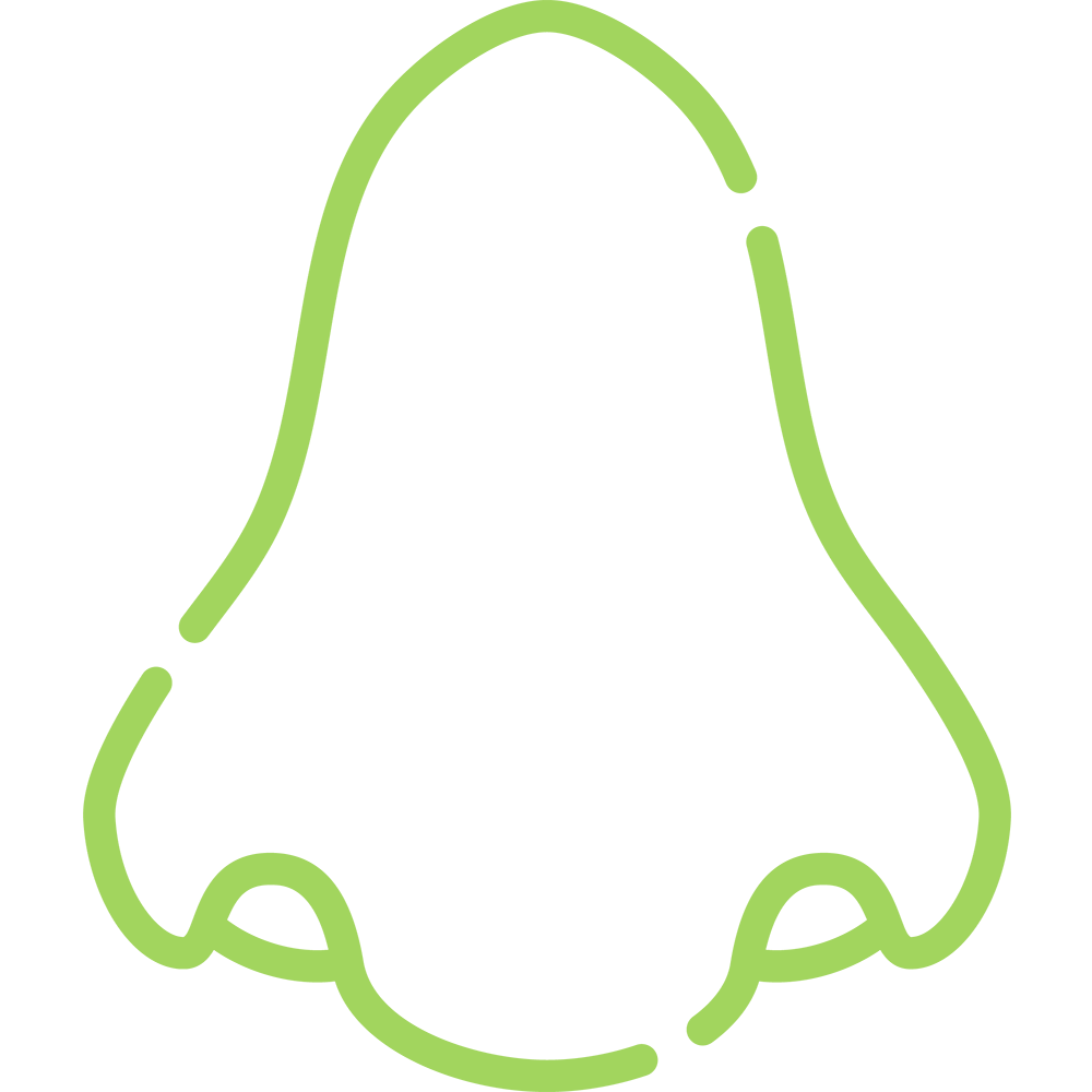 Green nose icon